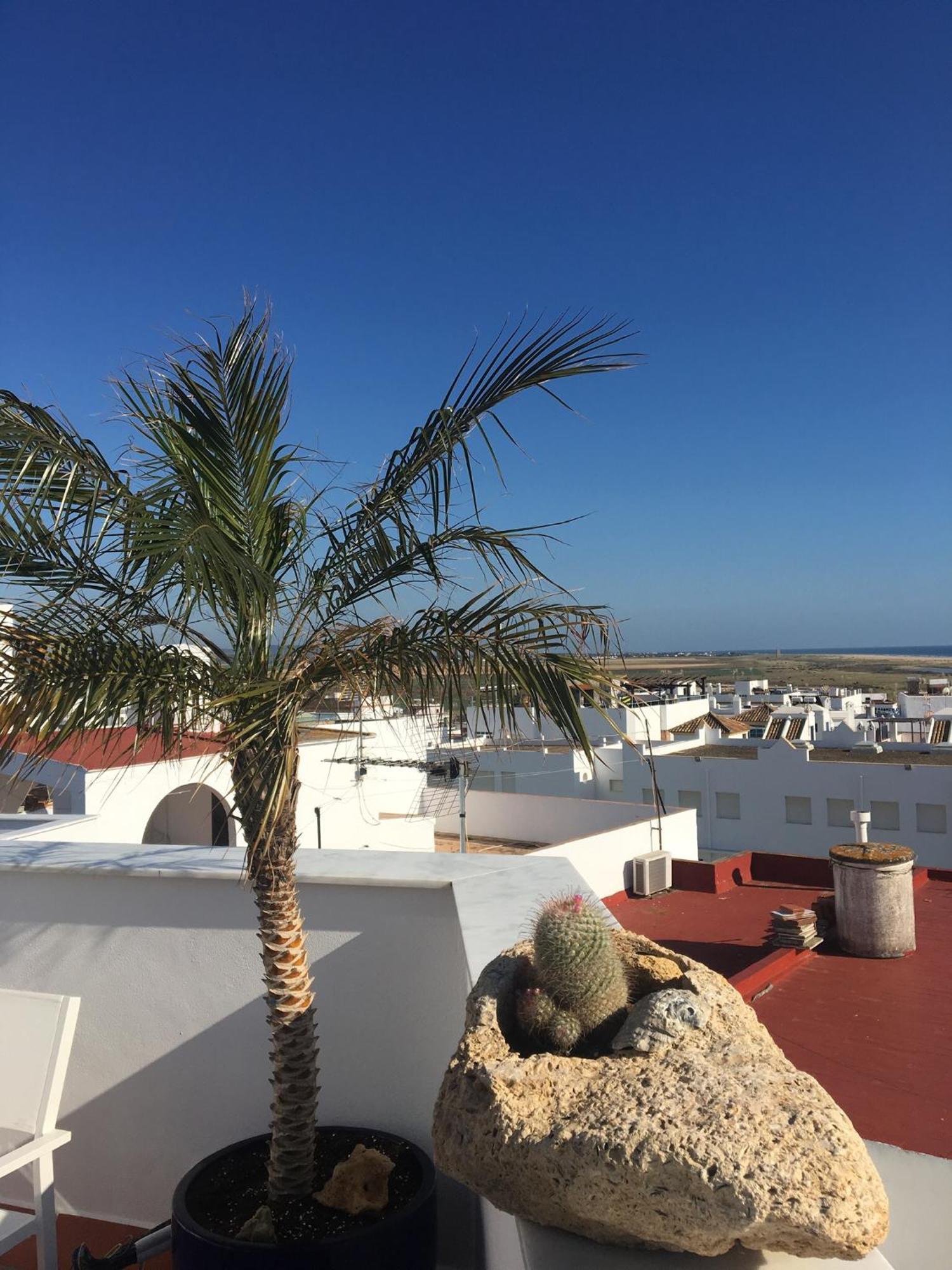 Stadthaus Petronella Meerblick Und Dachterrasse Conil De La Frontera Buitenkant foto